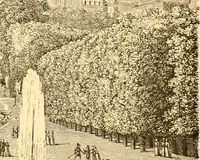 Picture 100 of 467 from L'art des jardins. Parcs--jardins--promenades--étude historique--principles de la composition des jardins--plantations--décoration pittoresque et artistique des parcs et jardins publics; traité pratique et didactique (1886), leaf 99