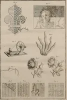 Picture 4 of 13 from L'art du brodeur (1770), leaf 62