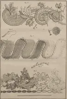 An illustration from L'art du brodeur (1770)