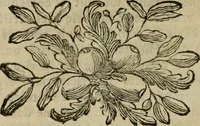 An illustration from L'art du peintre, doreur, vernisseur : ouvrage utile aux artistes & aux amateurs qui veulent entreprendre de peindre, dorer & vernir toutes sortes de sujets en bâtiments, meubles, bijoux, équipages, &c. (1774)
