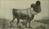 Picture 101 of 335 from L'art du rire et de la caricature (1892), leaf 121