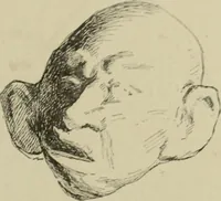 Picture 19 of 335 from L'art du rire et de la caricature (1892), leaf 22