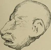 Picture 20 of 335 from L'art du rire et de la caricature (1892), leaf 22