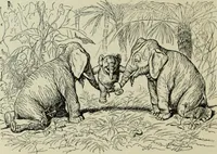 Picture 230 of 335 from L'art du rire et de la caricature (1892), leaf 291