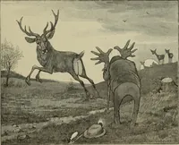 Picture 237 of 335 from L'art du rire et de la caricature (1892), leaf 296