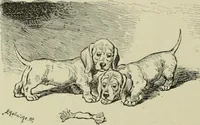 Picture 238 of 335 from L'art du rire et de la caricature (1892), leaf 297