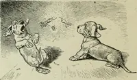Picture 240 of 335 from L'art du rire et de la caricature (1892), leaf 297