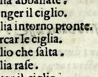 An illustration from L'arte de' cenni : con la quale formandosi fauella visibile, si tratta della muta eloquenza, che non e' altro che vn facondo silentio : diuisa in due parti ... (1616)