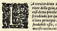 An illustration from L'arte de' cenni : con la quale formandosi fauella visibile, si tratta della muta eloquenza, che non e' altro che vn facondo silentio : diuisa in due parti ... (1616)