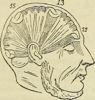 An illustration from L'arte de conoscere gli uomini : il piccolo Lavater e Dottor Gall (1865)