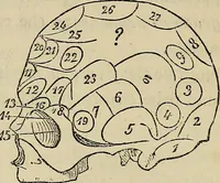 An illustration from L'arte de conoscere gli uomini : il piccolo Lavater e Dottor Gall (1865)