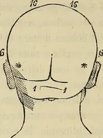 An illustration from L'arte de conoscere gli uomini : il piccolo Lavater e Dottor Gall (1865)