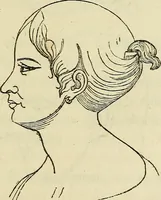 An illustration from L'arte de conoscere gli uomini : il piccolo Lavater e Dottor Gall (1865)