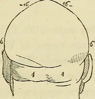 An illustration from L'arte de conoscere gli uomini : il piccolo Lavater e Dottor Gall (1865)