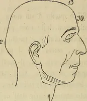 An illustration from L'arte de conoscere gli uomini : il piccolo Lavater e Dottor Gall (1865)