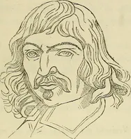 An illustration from L'arte de conoscere gli uomini : il piccolo Lavater e Dottor Gall (1865)