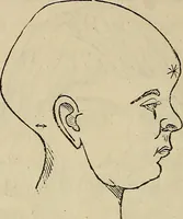 An illustration from L'arte de conoscere gli uomini : il piccolo Lavater e Dottor Gall (1865)