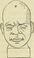 An illustration from L'arte de conoscere gli uomini : il piccolo Lavater e Dottor Gall (1865)