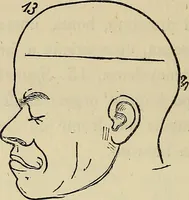 An illustration from L'arte de conoscere gli uomini : il piccolo Lavater e Dottor Gall (1865)