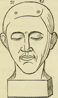 An illustration from L'arte de conoscere gli uomini : il piccolo Lavater e Dottor Gall (1865)
