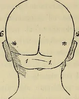 An illustration from L'arte de conoscere gli uomini : il piccolo Lavater e Dottor Gall (1865)