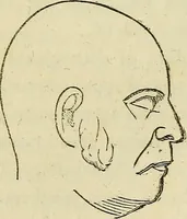An illustration from L'arte de conoscere gli uomini : il piccolo Lavater e Dottor Gall (1865)