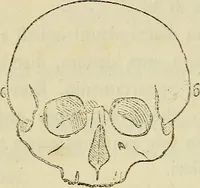 An illustration from L'arte de conoscere gli uomini : il piccolo Lavater e Dottor Gall (1865)