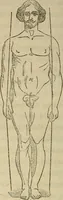 An illustration from L'arte de conoscere gli uomini : il piccolo Lavater e Dottor Gall (1865)