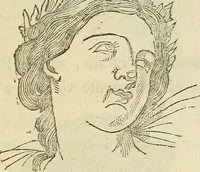 An illustration from L'arte de conoscere gli uomini : il piccolo Lavater e Dottor Gall (1865)