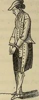 Picture 74 of 84 from L'arte de conoscere gli uomini : il piccolo Lavater e Dottor Gall (1865), leaf 319