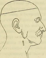 An illustration from L'arte de conoscere gli uomini : il piccolo Lavater e Dottor Gall (1865)