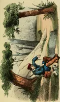 An illustration from L'arte de conoscere gli uomini : il piccolo Lavater e Dottor Gall (1865)