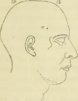 An illustration from L'arte de conoscere gli uomini : il piccolo Lavater e Dottor Gall (1865)