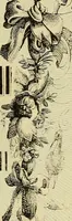 Picture 5 of 84 from L'arte de conoscere gli uomini : il piccolo Lavater e Dottor Gall (1865), leaf 8