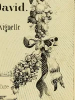 Picture 7 of 84 from L'arte de conoscere gli uomini : il piccolo Lavater e Dottor Gall (1865), leaf 8