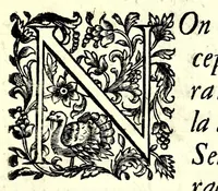 An illustration from L'arte del cavallo (1696)