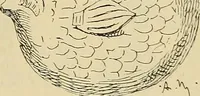 An illustration from L'arte nell'industria : lavori di legno e pastiglia, lavori di metallo, lavori di pietra, marmo, alabastro, ceramica, musaico, vetro, lavori di osso e avorio, lavori tessili, carte da parati e cuoi decorati, ricami, pizzi, cartelloni, stampe, ecc. (1907)