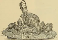An illustration from L'arte nell'industria : lavori di legno e pastiglia, lavori di metallo, lavori di pietra, marmo, alabastro, ceramica, musaico, vetro, lavori di osso e avorio, lavori tessili, carte da parati e cuoi decorati, ricami, pizzi, cartelloni, stampe, ecc. (1907)