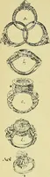 An illustration from L'arte nell'industria : lavori di legno e pastiglia, lavori di metallo, lavori di pietra, marmo, alabastro, ceramica, musaico, vetro, lavori di osso e avorio, lavori tessili, carte da parati e cuoi decorati, ricami, pizzi, cartelloni, stampe, ecc. (1907)