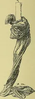 An illustration from L'arte nell'industria : lavori di legno e pastiglia, lavori di metallo, lavori di pietra, marmo, alabastro, ceramica, musaico, vetro, lavori di osso e avorio, lavori tessili, carte da parati e cuoi decorati, ricami, pizzi, cartelloni, stampe, ecc. (1907)