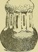 An illustration from L'arte nell'industria : lavori di legno e pastiglia, lavori di metallo, lavori di pietra, marmo, alabastro, ceramica, musaico, vetro, lavori di osso e avorio, lavori tessili, carte da parati e cuoi decorati, ricami, pizzi, cartelloni, stampe, ecc. (1907)