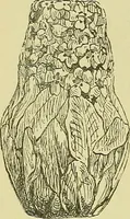 An illustration from L'arte nell'industria : lavori di legno e pastiglia, lavori di metallo, lavori di pietra, marmo, alabastro, ceramica, musaico, vetro, lavori di osso e avorio, lavori tessili, carte da parati e cuoi decorati, ricami, pizzi, cartelloni, stampe, ecc. (1907)