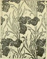 An illustration from L'arte nell'industria : lavori di legno e pastiglia, lavori di metallo, lavori di pietra, marmo, alabastro, ceramica, musaico, vetro, lavori di osso e avorio, lavori tessili, carte da parati e cuoi decorati, ricami, pizzi, cartelloni, stampe, ecc. (1907)