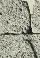 An illustration from L'art Hittite (1922)