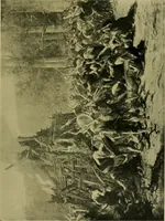Picture 168 of 491 from L'Art a l'Exposition universelle de 1900 (1900), leaf 220