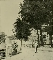 Picture 178 of 491 from L'Art a l'Exposition universelle de 1900 (1900), leaf 236