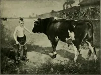 Picture 197 of 491 from L'Art a l'Exposition universelle de 1900 (1900), leaf 270