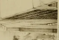 Picture 208 of 491 from L'Art a l'Exposition universelle de 1900 (1900), leaf 286