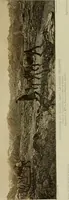 Picture 229 of 491 from L'Art a l'Exposition universelle de 1900 (1900), leaf 322