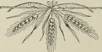 An illustration from L'Art ornamental (1916)